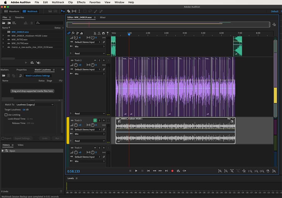 Adobe Audition screenshot